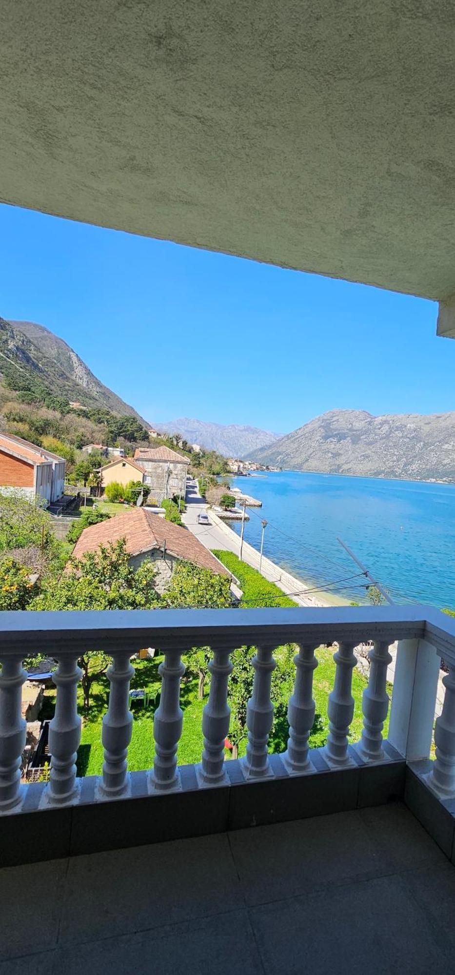 Apartments Popovic Kotor Quarto foto